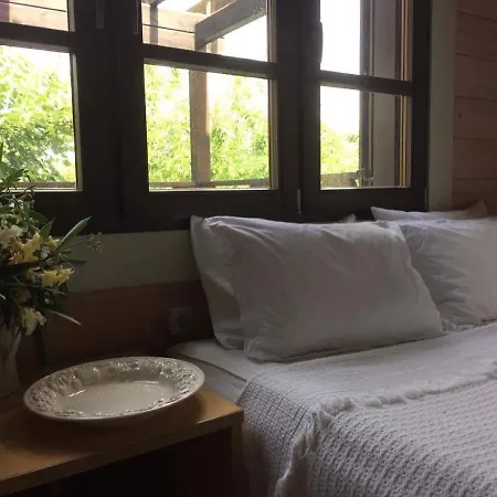 Tatil Evi Amazing Two-storey Wooden Nikiti (Sithonia)